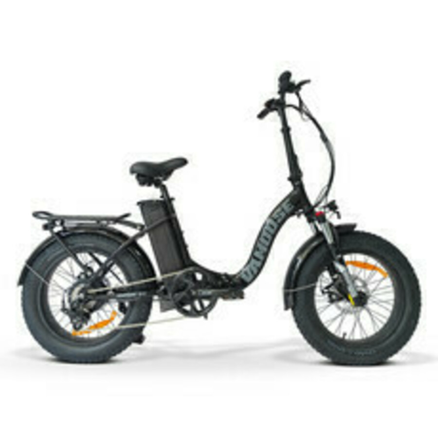 2023 Vamoose cycles Ranger