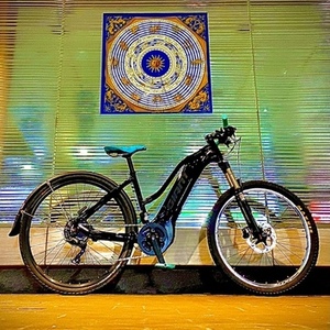 2022 Giant ROAM-E S Black and Black