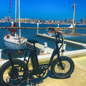 2020 Rad Power Bikes Rad Runner Black