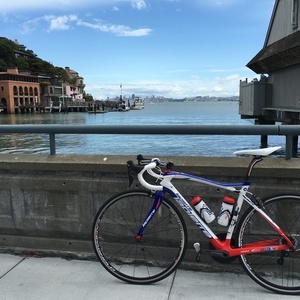 2015 Lapierre Pulsium 500CP Blue and White