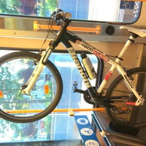 2010 Bianchi Axis Black, White, and Red