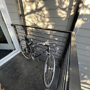 Raleigh Super Course Black