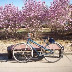 2009 Other Custom cruiser mixte commuter Blue and White