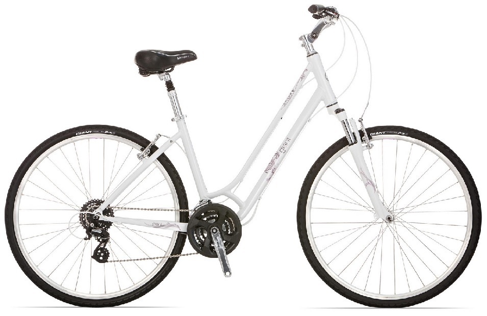 giant cypress dx 2009