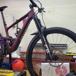 2021 Specialized Enduro Red