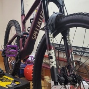 2021 Specialized Enduro Red