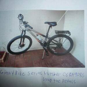 2009 Giant Silver Orange and black Black