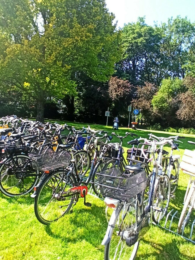 Bike photo