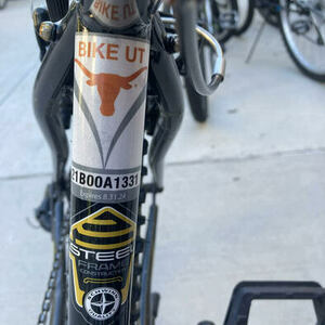 Schwinn High Timber Black and Yellow or Gold