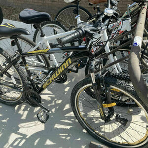 Schwinn High Timber Black and Yellow or Gold