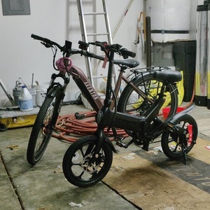 2022 Aventón Level Pink and Brown