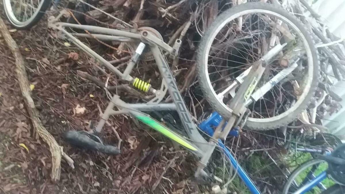 asr dx7800 mountain bike
