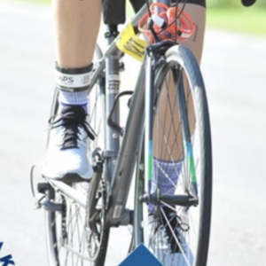 2017 Trek Lexa Silver, gray or bare metal