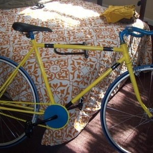 Unknown to me No-name/chopped Brown and White