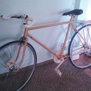 Unknown Unknown Brown and White