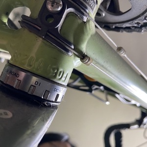 2006 REI Novara Carema Pro Green