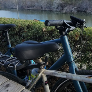 2021 REI CTY 1.1 Blue