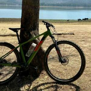 2020 Cube Analog Green and Orange