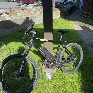 2022 Rad Power Bikes RadMission 1 Black and Yellow or Gold