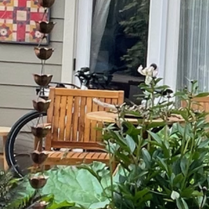 2021 Rad Power Bikes MISSION White