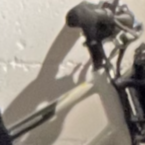 2021 Rad Power Bikes MISSION White