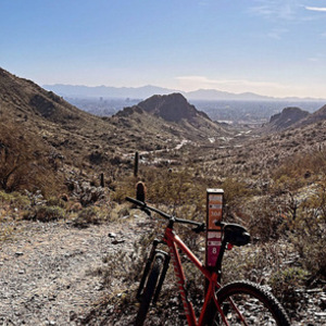 2021 Specialized Rockhopper (Elite 29er) Orange