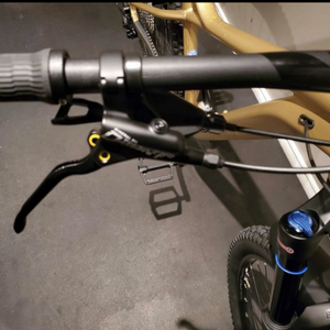 2021 Orbea L Yellow or Gold