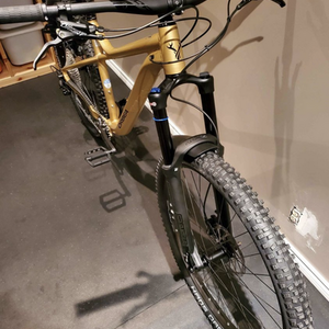 2021 Orbea L Yellow or Gold