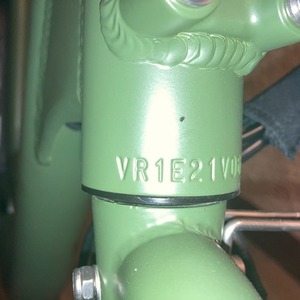 2021 Rad Power Bikes RadRunner Electric Utility Bike Green