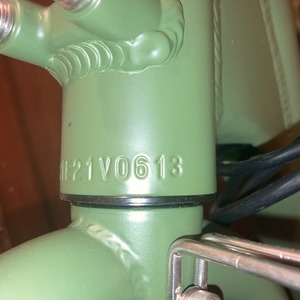 2021 Rad Power Bikes RadRunner Electric Utility Bike Green