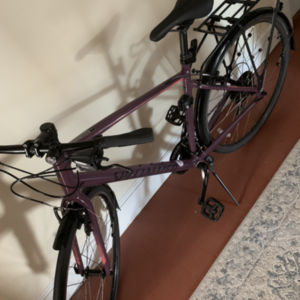 2021 Specialized Sirrus Purple