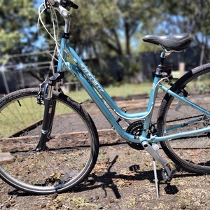 2012 Trek Step thru Blue