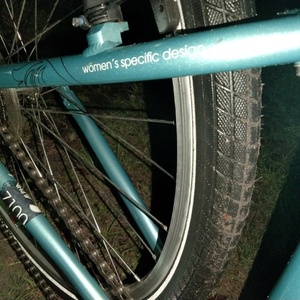 2012 Trek Step thru Blue