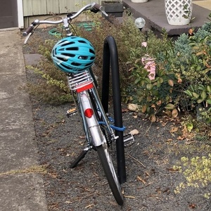 2021 Linus Mixte 7i Medium Blue