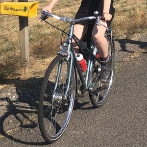 2021 Linus Mixte 7i Medium Blue