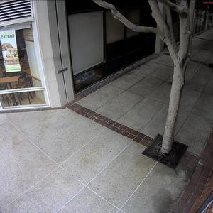 2009 Motobecane Record White