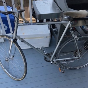 Peugeot 60cm Silver, gray or bare metal