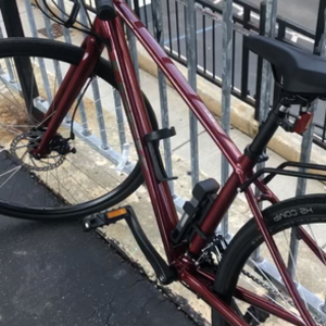 2022 Trek FX 1 Red