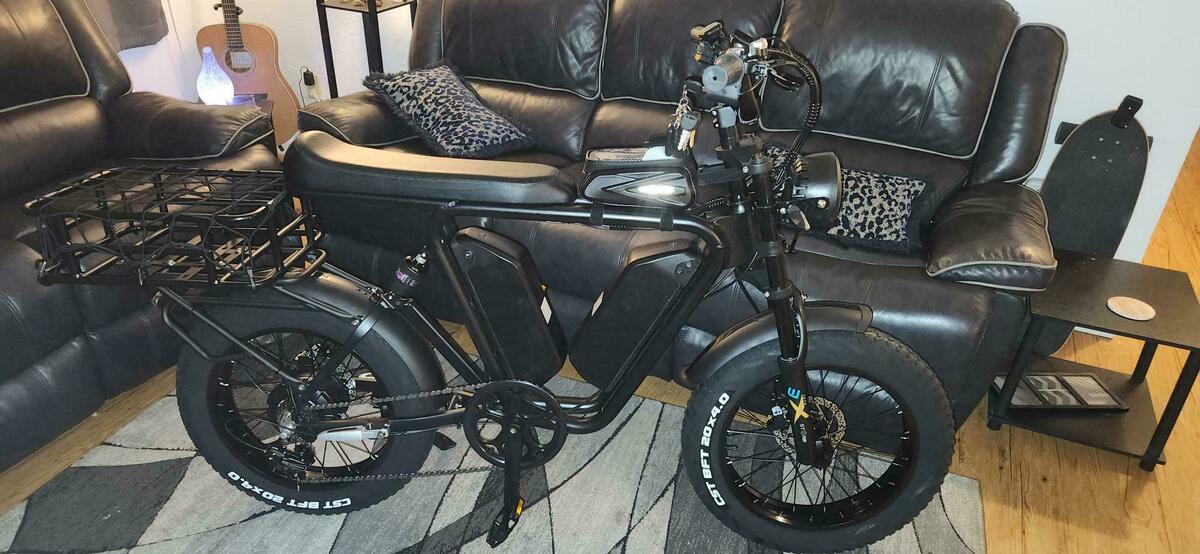 Cargo Bike Rear photo