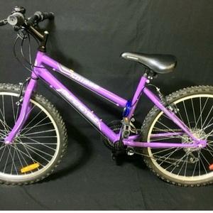 2022 Supercycle Sc1800 Purple