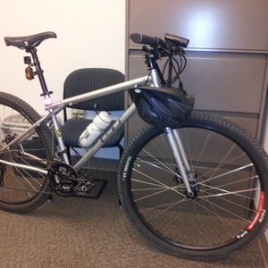 2010 GT Bicycles Peace 9r Multi Silver or Gray