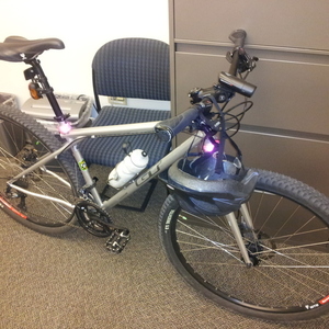 2010 GT Bicycles Peace 9r Multi Silver or Gray