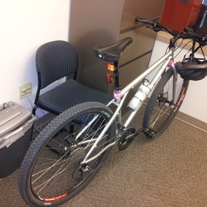 2010 GT Bicycles Peace 9r Multi Silver or Gray