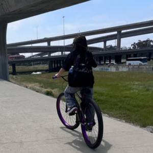 2019 SE Bikes 6061 Aluminum Floval tubing Black