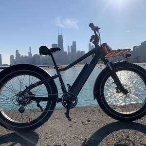 2022 Rad Power Bikes RadRover 6 Plus Silver, gray or bare metal