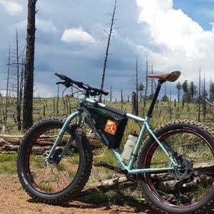 2016 Surly Wednesday Blue