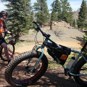 2016 Surly Wednesday Blue