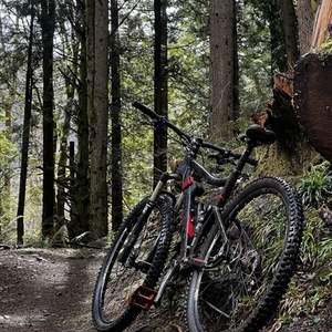 2017 Marin Bikes Rift Zone 5 Black and Red
