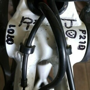 2022 Serfas Step through White and Black