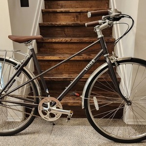 2022 Linus Mixte Silver, gray or bare metal